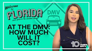 How much will you spend at the Florida DMV?