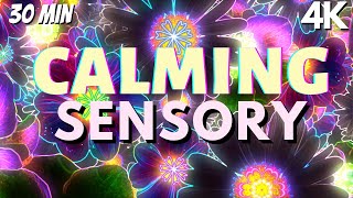 Autism Calming Music Neon Soothing Falling Flowers Meltdown Remedy