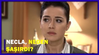 Necla, Neden Şaşırdı? - Yaprak Dökümü 99.Bölüm