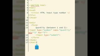 Input type Number with maximum and minimum
