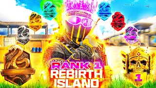 #1 RANKED PLAYER vs EVERY RANK in Rebirth Island!