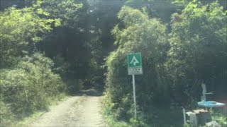 熊本県 白浜林道（布計側・1/5）