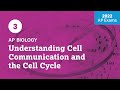 2022 Live Review 3 | AP Biology | Understanding Cell Communication and the Cell Cycle