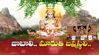 అంజనాద్రే ఆంజనేయుడి జన్మస్థలం అన్న తితిదే | Tirumala A Birth Place of Lord Hanuma - TTD | ప్రతిధ్వని