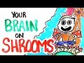 Your Brain On Shrooms