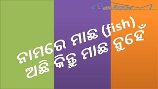 ନାମରେ ମାଛ (Fish) ଅଛି କିନ୍ତୁ ମାଛ ନୁହେଁ  | Fish Is In The Name But Not Fish #shorts