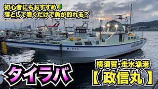 誰でも簡単！？落として巻くだけで魚が釣れちゃう！タイラバゲーム/横須賀・走水漁港【政信丸】