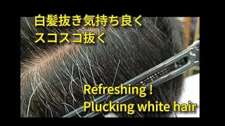 白髪抜き気持ち良くスコスコ抜く pull out long gray hair　Refreshing ! Plucking white hair　Refreshing !  白去掉