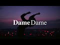 Dame Dame - This Is What You Came For (Calvin Harris Cover)