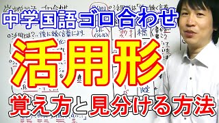 中学国語【ゴロ合わせ】「活用形・覚え方と見分けるポイント」