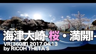 海津大崎-桜・満開！-VR[360度] 2017.04.13 by RICOH THETA S