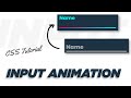 Input Field Animation Using Html and CSS | CSS Label Animations