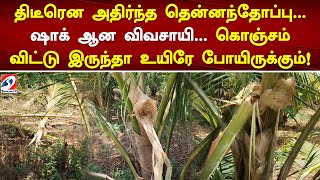 திடீரென அதிர்ந்த தென்னந்தோப்பு...ஷாக் ஆன விவசாயி...கொஞ்சம் விட்டு இருந்தா உயிரே போயிருக்கும்!