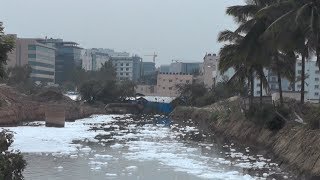 Conversations on conservation  (Part 1 - Spotlight Bellandur lake)