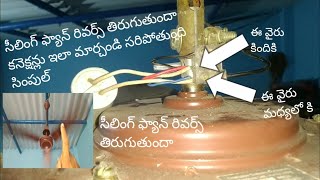 ceiling fan rotation change సీలింగ్ ఫ్యాన్ రివర్స్ తిరిగితే కనెక్షన్ ఇలా మార్చాలి