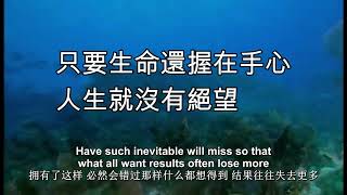 人生最難得心安二字,所謂心安,就是心裏沒有後悔的事,沒有虧心的事