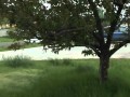 Taking Care of yOur Groundwater