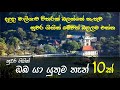 Best places to visit in Kandy | Top 10 Travel Places in Kandy | Kandy Travel Guide | KANDY SRI LANKA