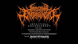 Intestinal Engorgement - Regurgitate Congenital Innards Chunks (SINGLE)