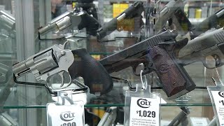 Cities in Northwest Suburbs See Increase in Gun Permit Applications