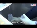 日本核污水｜福島作第2次排海準備預周四啟動 東電開始賠償受損漁民 日本｜福島｜核污水｜氚｜東京電力公司｜漁民｜賠償｜星島頭條｜國際