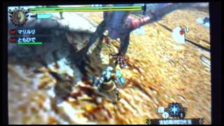 MH4G イャンクック ペア 闘技大会 左作戦