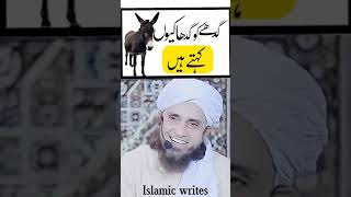 gadhe ko gadha Kyon Kahate Hain mufti Tariq msood ka bayan