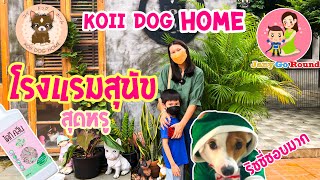 Koii dog home (โคอิด๊อกโฮม) โรงแรมสุนัขสุดหรู นอนแอร์ มีกล้องวงจรปิด