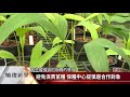 守護瀕危植物 保種中心.屏縣府簽意向書【客家新聞20190118】