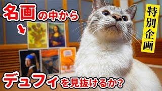 【祝！デュフィ展開催】猫のデュフィは自分の名前の由来となった画家の作品を見抜くことができるのか？【ラウル・デュフィ展―絵画とテキスタイル・デザイン―開催記念！勝手にコラボ企画】