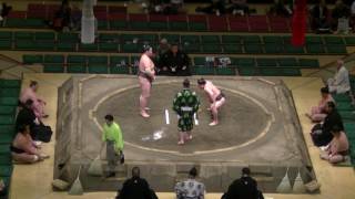 豪頂山-琴鎌谷/2017.5.26(8)/gochozan-kotokamatari/day#sumo