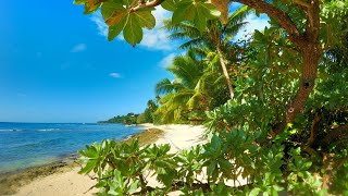 Fiji -Taveuni island - Maravu Lodge garden - Matei beach - Tavoro Waterfalls