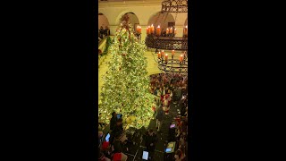 2025 Christmas Tree Lighting