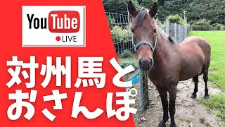 ライブ配信！対州馬とおさんぽ