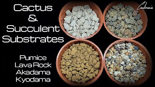 Cactus & Succulent Substrates from Kaizen Bonsai | Pumice | Lava Rock | Akadama | Kyodama