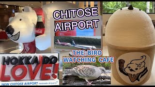 The Bird Watching cafe/ Tadashi Shimada Nature#birdwatching /Chitose Airport to Narita#lastday:GG