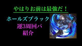 6分台安定!?激究極ホールズブラック運3周回パ紹介！！