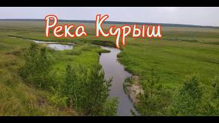 Река Курыш. Июнь 2020.