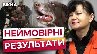 ШУКАЮТЬ під ЗАВАЛАМИ та ЛІКУЮТЬ після ПОРАНЕНЬ 💔 СОБАКИ ДСНС повертають українських ВОЇНІВ до життя