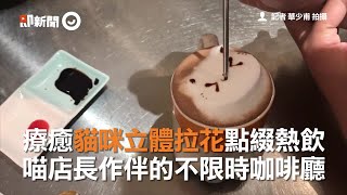 療癒貓咪立體拉花點綴熱飲　喵店長作伴的不限時咖啡廳