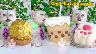 😉Show Off Chef Cat’s Giant Food Cooking Skills!🍰|Cat Cooking Food|Cute And Funny Cat