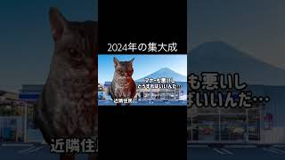 2024年の出来事を猫ミームにしてみた#shorts #猫ミーム