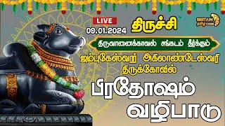 🔴LIVE - திருச்சி -திருவானைக்கோயில் - ஜம்புகேஸ்வரர் அகிலாண்டேஸ்வரி திருக்கோவில் - பிரதோஷம் வழிபாடு