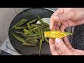 ಕೇವಲ 2 ನಿಮಿಷಗಳಲ್ಲಿ ಬೆಂಡೆಕಾಯಿ ಹೊಸ ರೆಸಿಪಿ okra fry bendekai fry recipe in kannada bhindi fry recipes