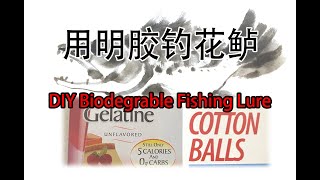 Biodegradable fishing lure 用眀胶(Gelatine)钓花鲈