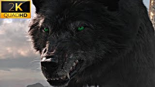 Hulk Vs Fenris Wolf Scene | Thor Ragnarok Movie Scene HD | Hulk Fights Fenris Wolf | No Logo Clips