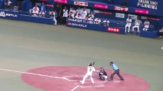 【オールスター】梅野隆太郎のレフトフライだったが良いスイングに拍手する牧秀悟などベンチの様子【オールスター第1戦2023年7月19日】