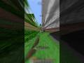 minecraft but with CRAZY FOV