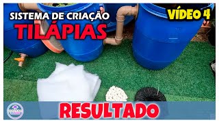 Criação de Tilápias em Caixa d'Água. Vale a pena? - Vídeo 4