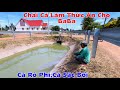 Khám Phá Vùng Quê Của Xã Phước Ninh, Gặp Bầy Vịt Mười Mấy Ngàn Con Đông Thật